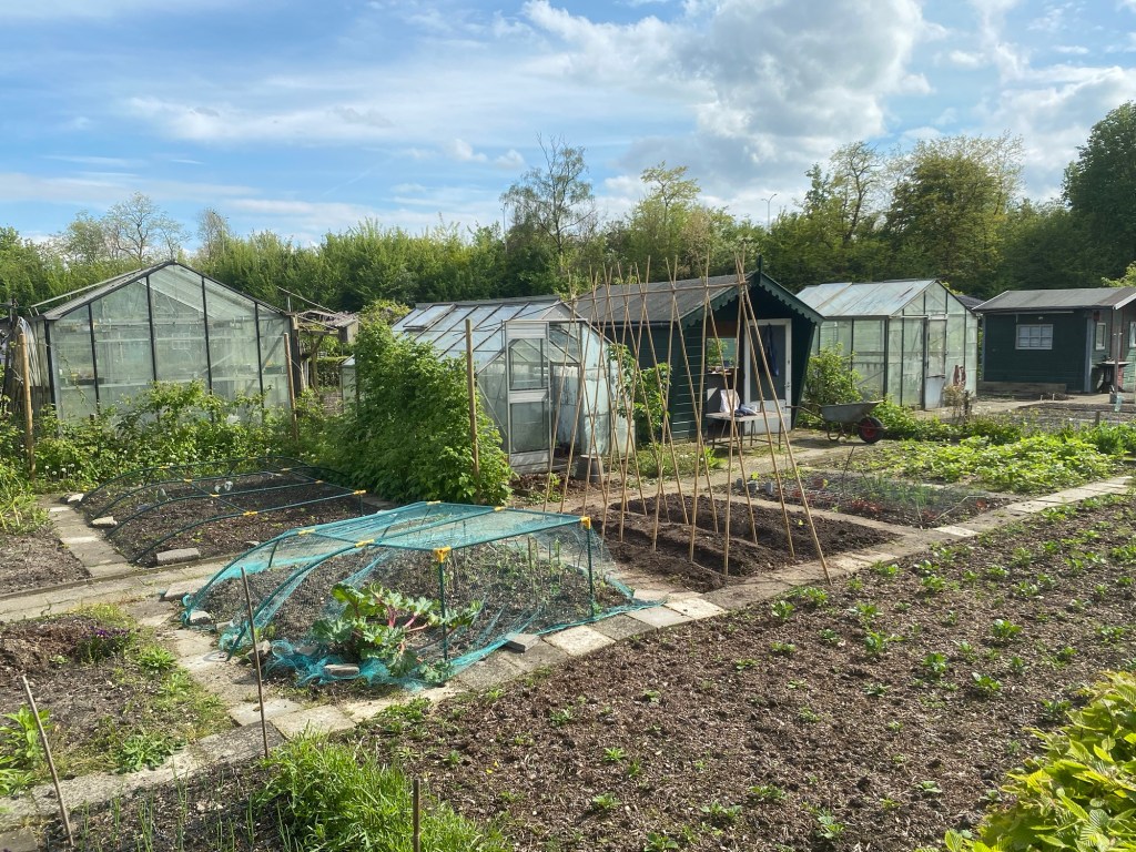 Wat eraan vooraf&nbsp;ging